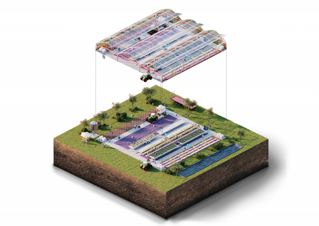 Salat Centar Plastenici